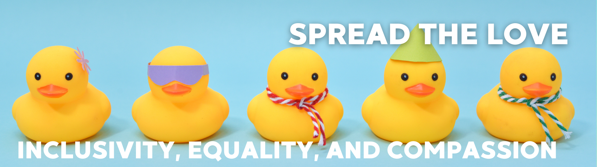 Equality ducks