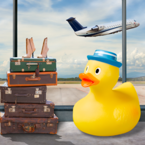 Travel duck