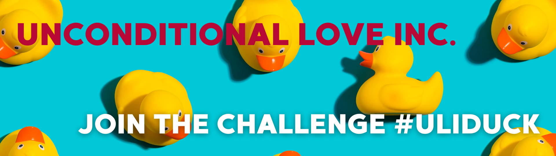 Unconditional Love Inc join the challenge
