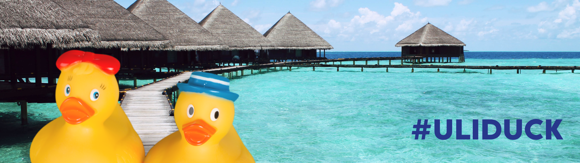 Vacation ducks